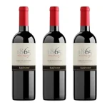 1865 Single Vineyard Carmenere 2014