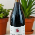 1988 Gevrey Chambertin 1er Cru Craipillot Magnum