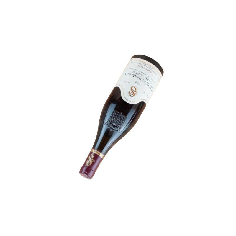 2008 Gevrey Chambertin 1er Cru Craipillot