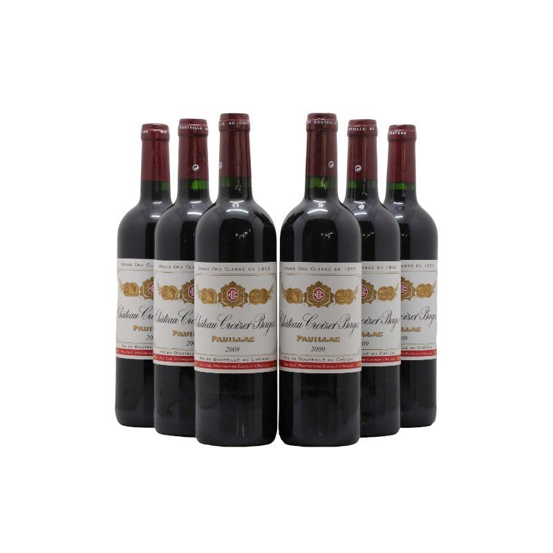 2009 Chateau Croizet Bages