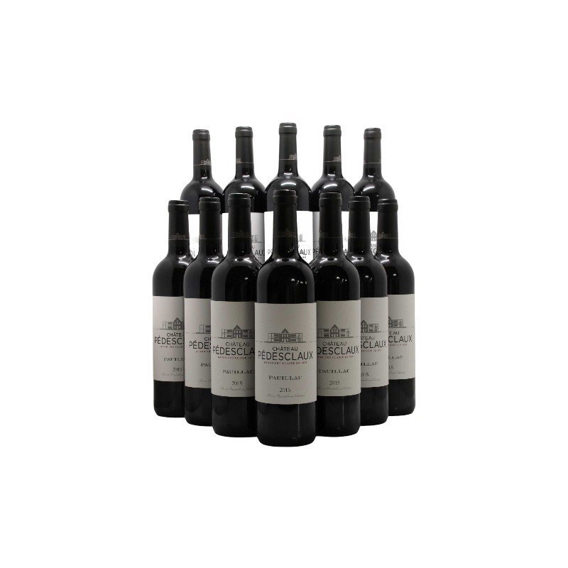 2015 Chateau Pedesclaux Magnum