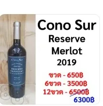 Cono Sur Reserva Especial Merlot 2019
