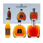 Camus XO Elegance