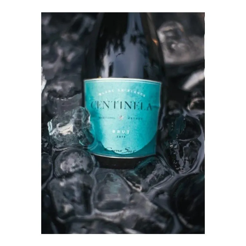 Cono Sur Centinela Brut Blanc de Blanc 2013
