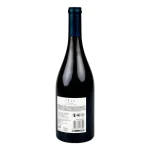 Cono Sur Ocio Pinot Noir 2012