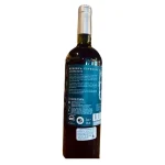 Cono Sur Reserva Especial Cabernet Sauvignon 2020