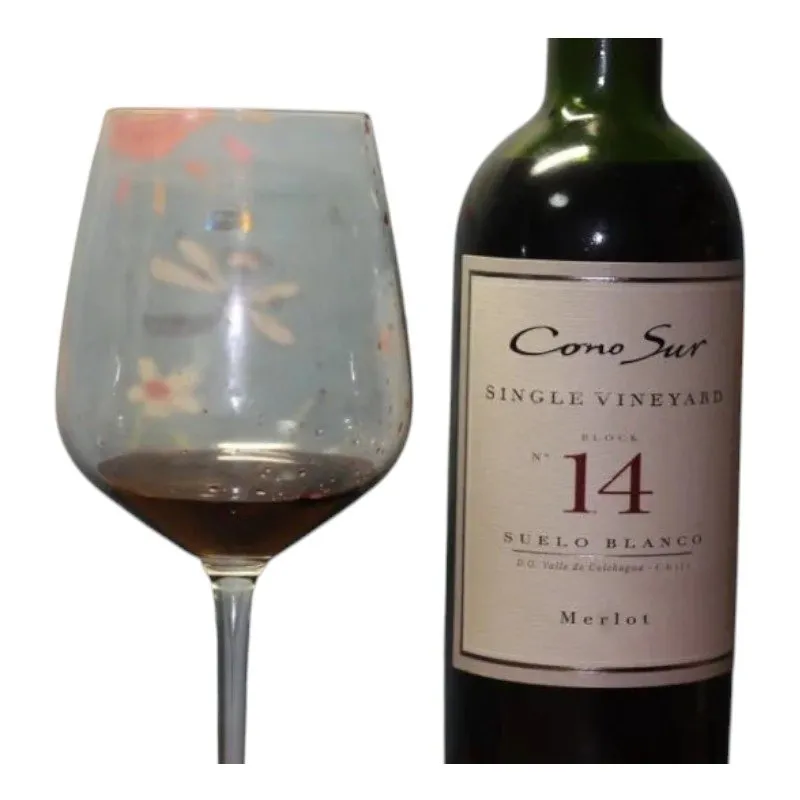 Cono Sur Single Vineyard Block 14 Merlot