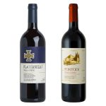 Fontodi Flaccianello Della Pieve 2019