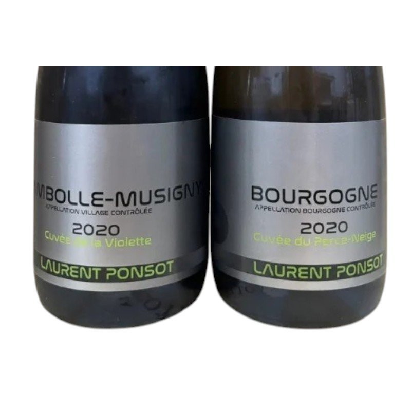Laurent Ponsot Bourgogne Chardonnay 2020