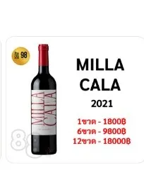 Vik Milla Cala 2021