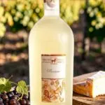 เหล้านอก Tenuta Ulisse Premium Pecorino